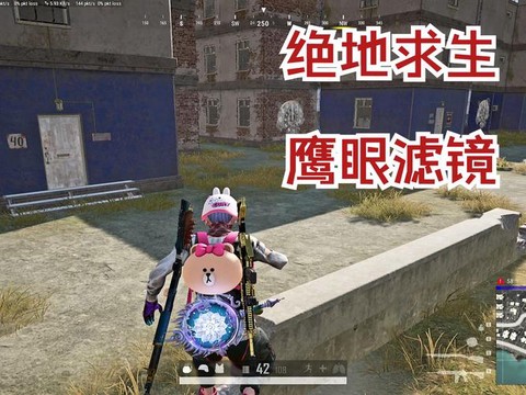 绝地求生鹰眼是什么[图1]