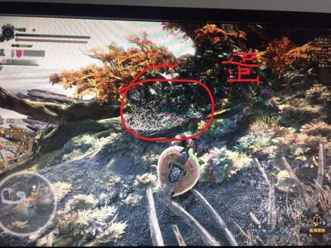 怪物猎人x龙蛋怎么搬[图1]