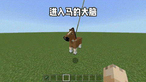 我的世界马怎么拴住[图2]