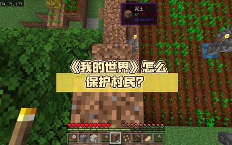 我的世界怎么保护村民[图1]