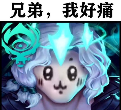 英雄联盟怎么用表情[图2]