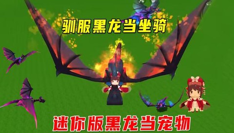 迷你世界怎么把黑龙训[图2]