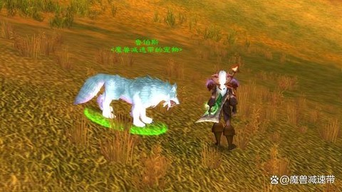 魔兽世界猎人带什么宝宝