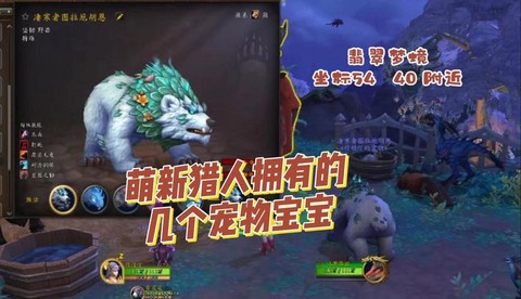 魔兽世界猎人带什么宝宝[图1]