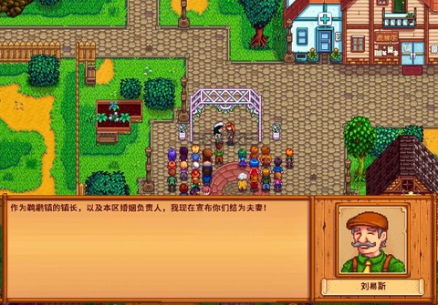 星露谷物语怎么变小